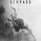 Der Pass