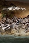 GREAT MIGRATIONS - Das große Wunder der Tierwanderungen - Trailer | National Geographic HD
