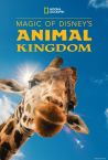 MAGIC OF DISNEY'S ANIMAL KINGDOM Official Trailer (HD)