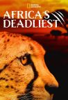 Africa’s Deadliest  Young Blood   FULL HD   Documentary Films on Amazing Animals TV