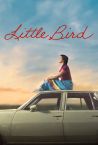 Little Bird Trailer