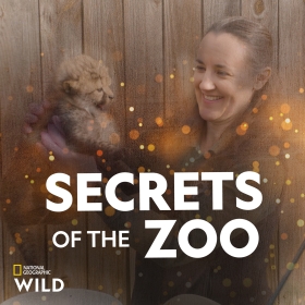 Secrets of the Zoo
