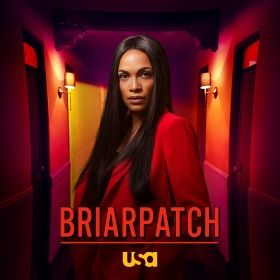 Briarpatch