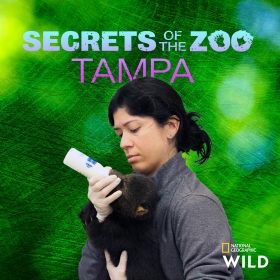 Secrets of the Zoo: Tampa