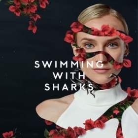 Swimming with Sharks