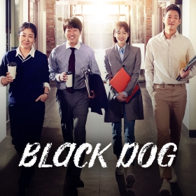 Black Dog