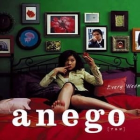 Anego