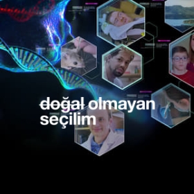 Unnatural Selection