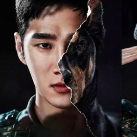 Military Prosecutor Doberman