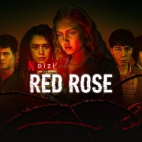 Red Rose