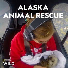 Alaska Animal Rescue