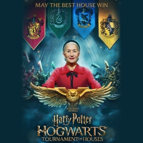 Harry Potter: Hogwarts Tournament of Houses