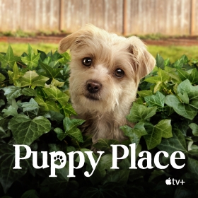Puppy Place