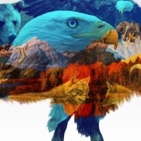 America the Beautiful
