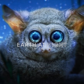 Earth at Night in Color