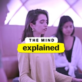 The Mind, Explained