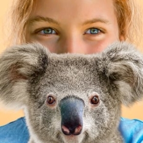 Izzy's Koala World