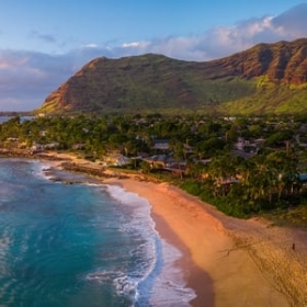 Wild Hawaii