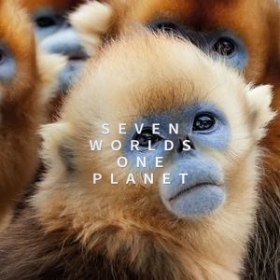 Seven Worlds, One Planet