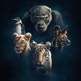 Dynasties