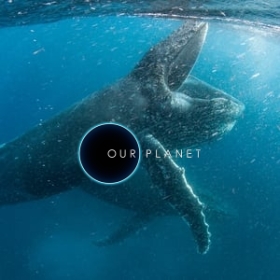 Our Planet