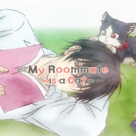 My Roommate Is a Cat