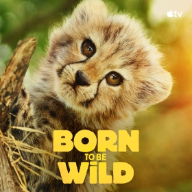 Born to Be Wild