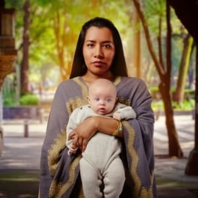 The Surrogacy