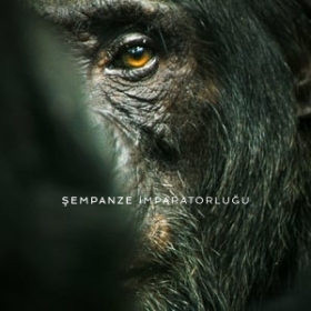 Chimp Empire