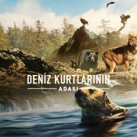 Island of the Sea Wolves