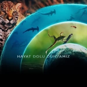 Our Living World