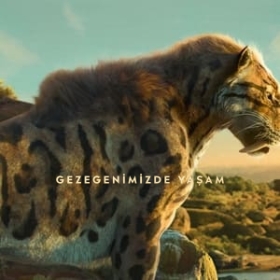 Life on Our Planet