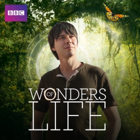 Wonders of Life