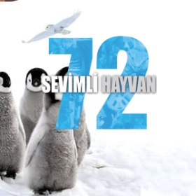 72 Cutest Animals