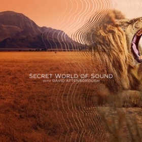 Secret World of Sound