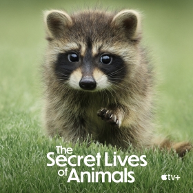The Secret Lives of Animals