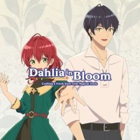 Dahlia in Bloom
