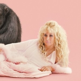 Chimp Crazy