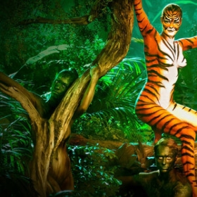 Skin Wars