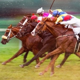 Race for the Crown