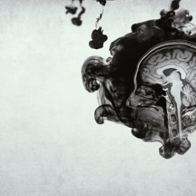 Inside the Criminal Mind