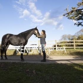 Free Rein