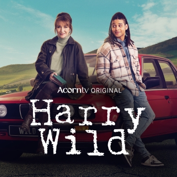 Harry Wild 5. Sezon 6. Bölüm izle